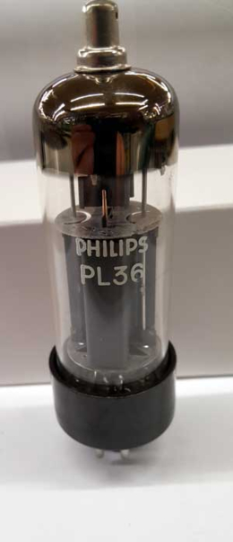 PL36