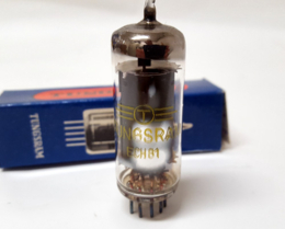 ECH81