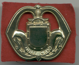 Baret |Embleem Nationale reserve of infanterie