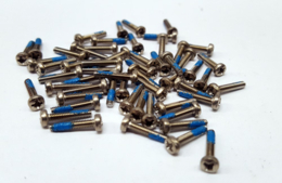RVS M2 x 10 boutjes