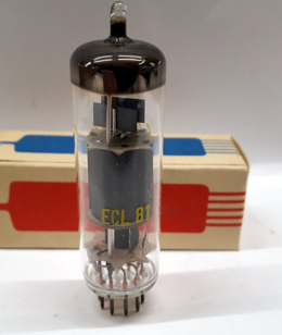 ECL81