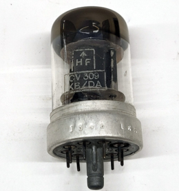 CV309