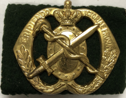 Regiment Geneeskundige Troepen