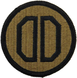 31st Chemical Brigade MultiCam (OCP) Velcro Patch