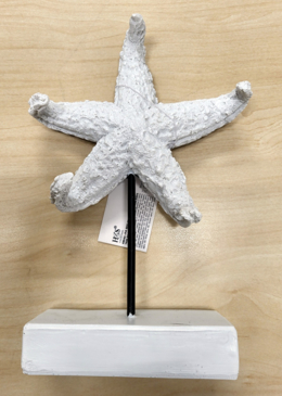 Decoratie zeester