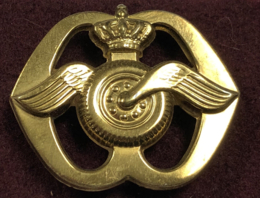 Baret Embleem Transporttroepen / luchtmobiele brigade Mist oog aan de achterkant.