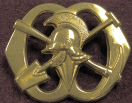 Baret Embleem Pioniers