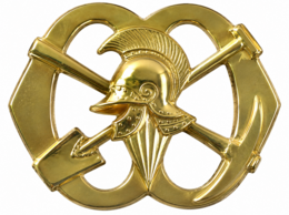 Pioniers (nieuw model) baret  embleem