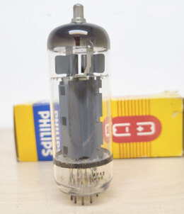 PL519
